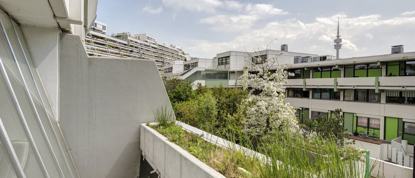 квартира München Olympiadorf 02 вид из окна 3688