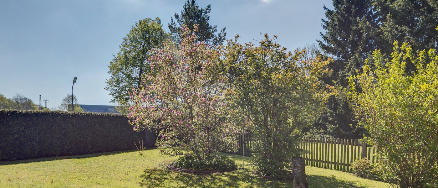 квартира München Moosach 01 сад 402