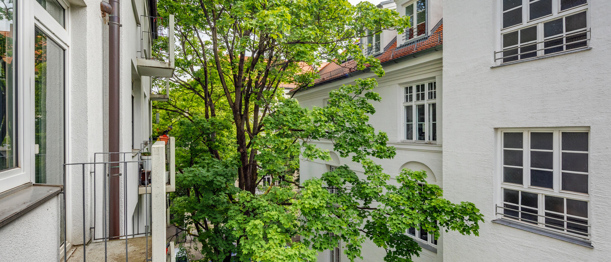 квартира München Schwabing-West (rund um den Hohenzollernplatz) 01 вид из окна 4086