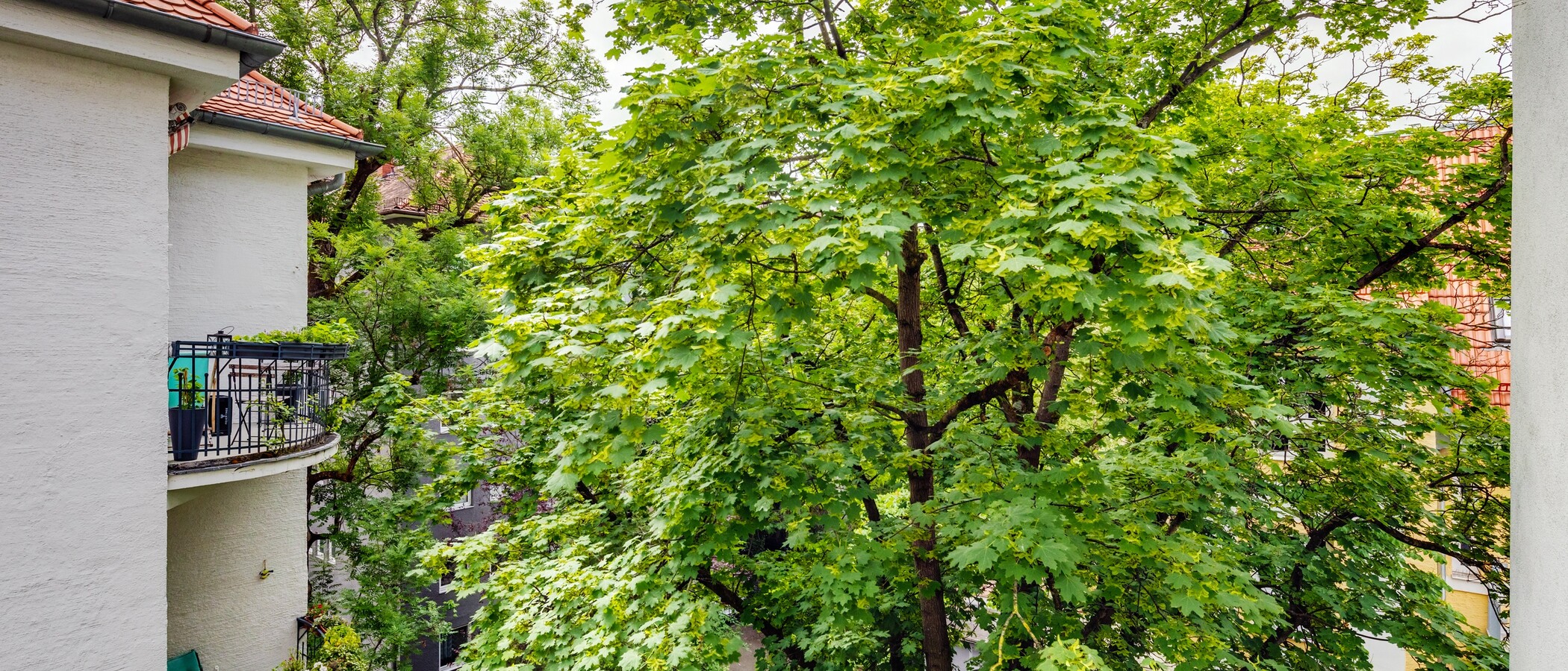 квартира München Schwabing-West (rund um den Hohenzollernplatz) 02 вид из окна 4086