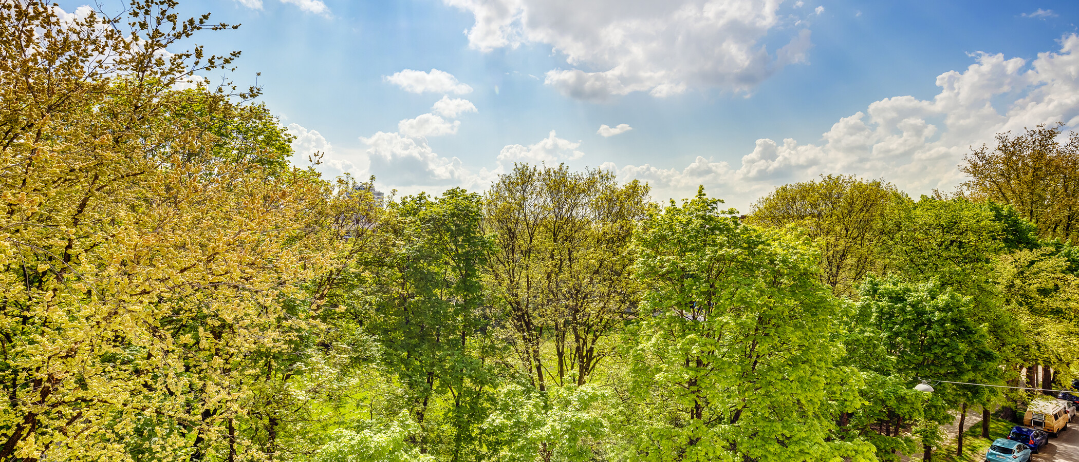 мансардная квартира München Obergiesing 01 вид из окна 4141