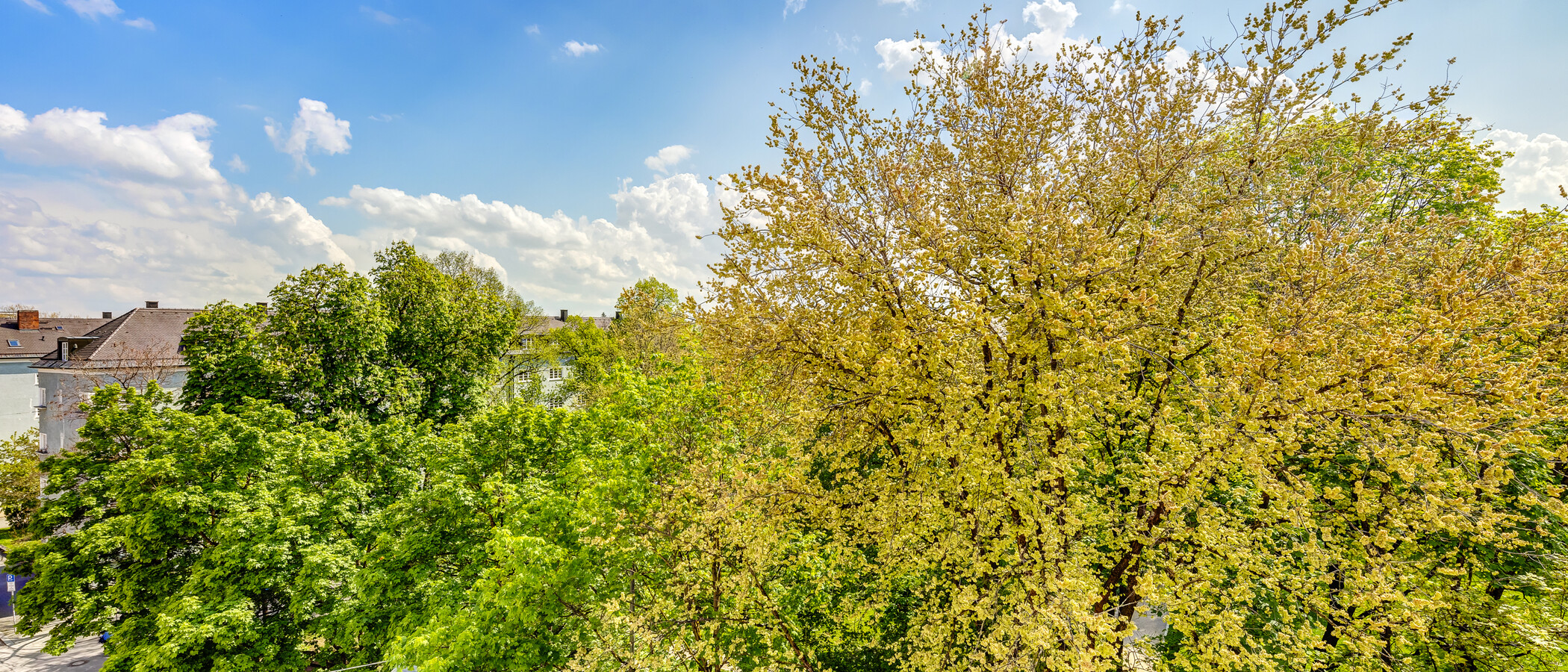 мансардная квартира München Obergiesing 02 вид из окна 4141