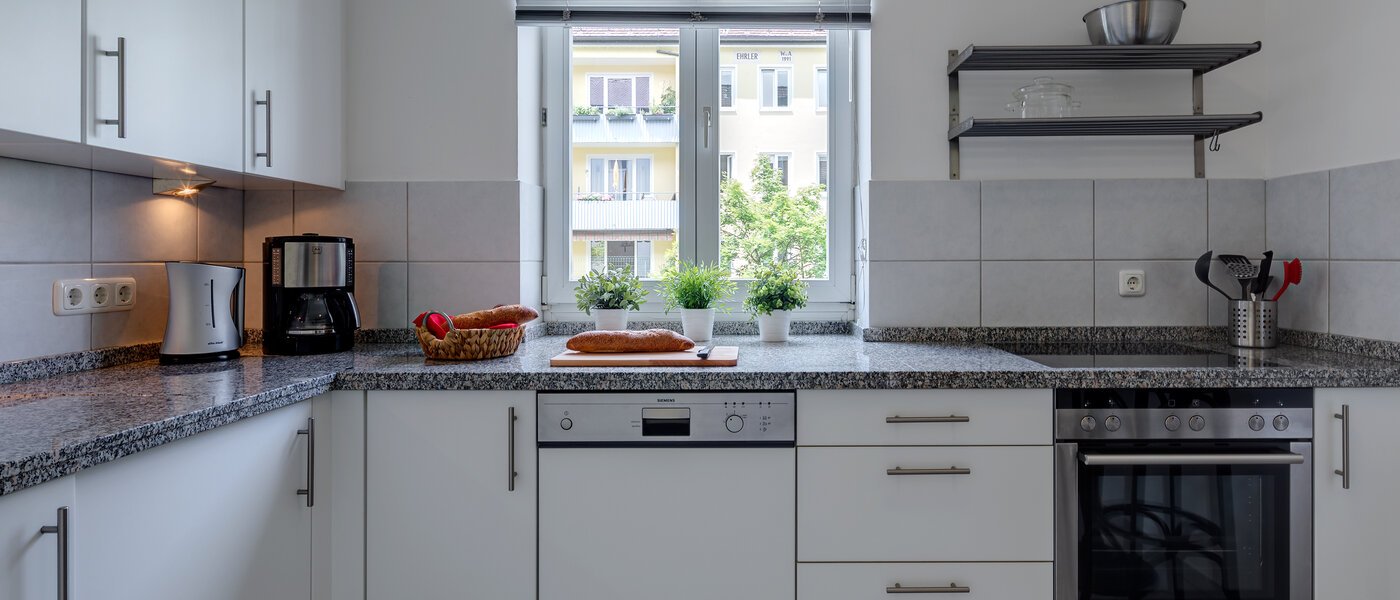 квартира München Maxvorstadt - Museumsviertel 02 кухня 4344