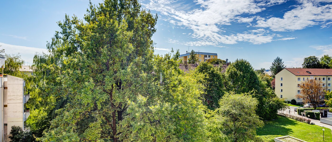 квартира München Sendling-Westpark 01 вид из окна 4419