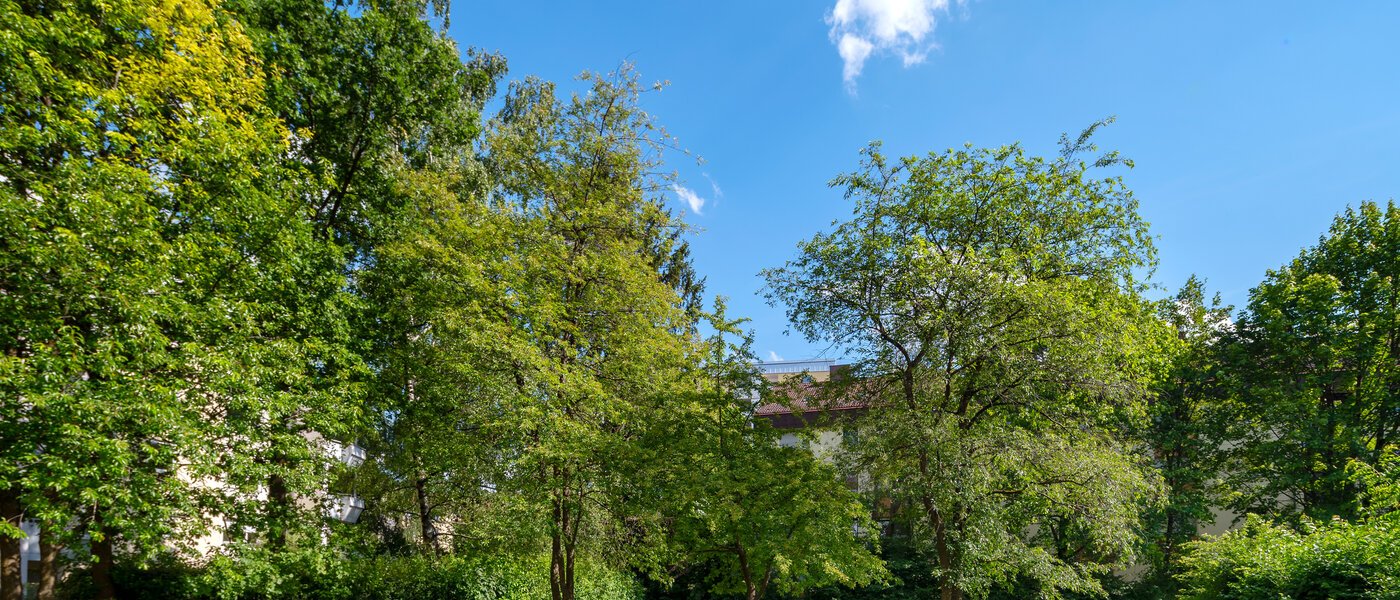 квартира München Sendling-Westpark 03 внутренний двор  4419