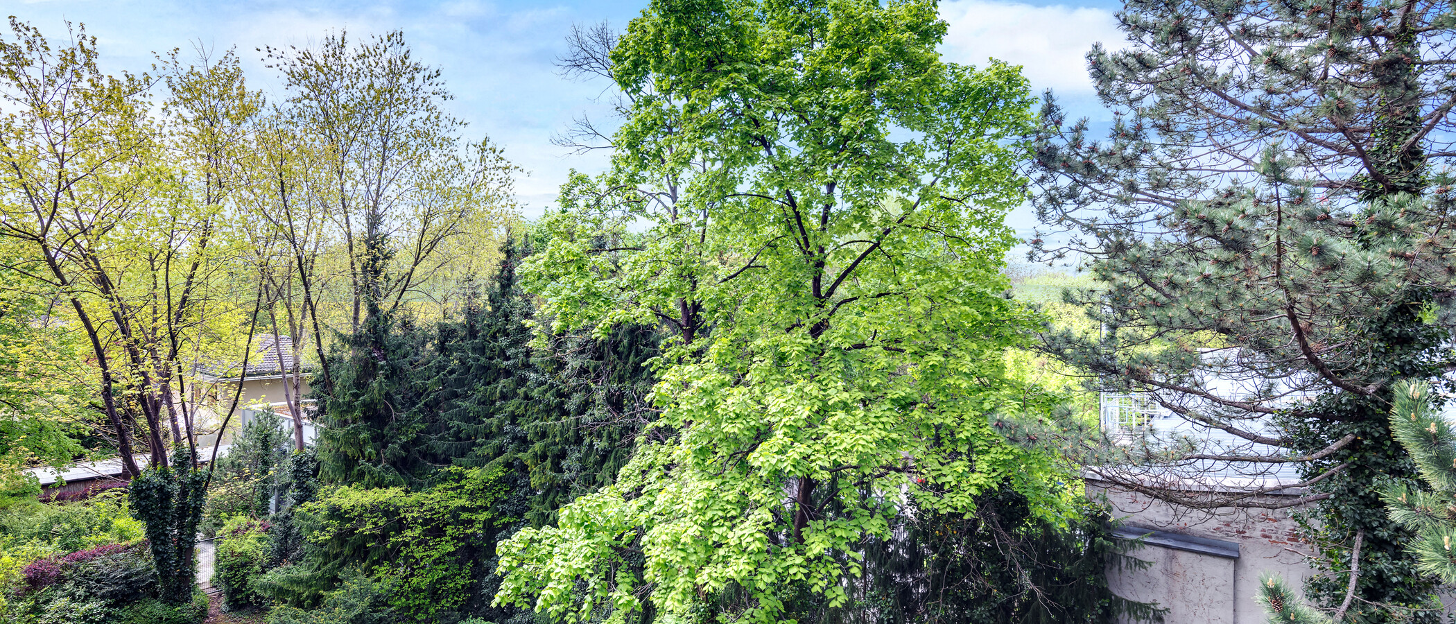 квартира München Schwabing-Nord (zw. Leopoldstraße & Englischen Garten) 01 вид из окна 4452