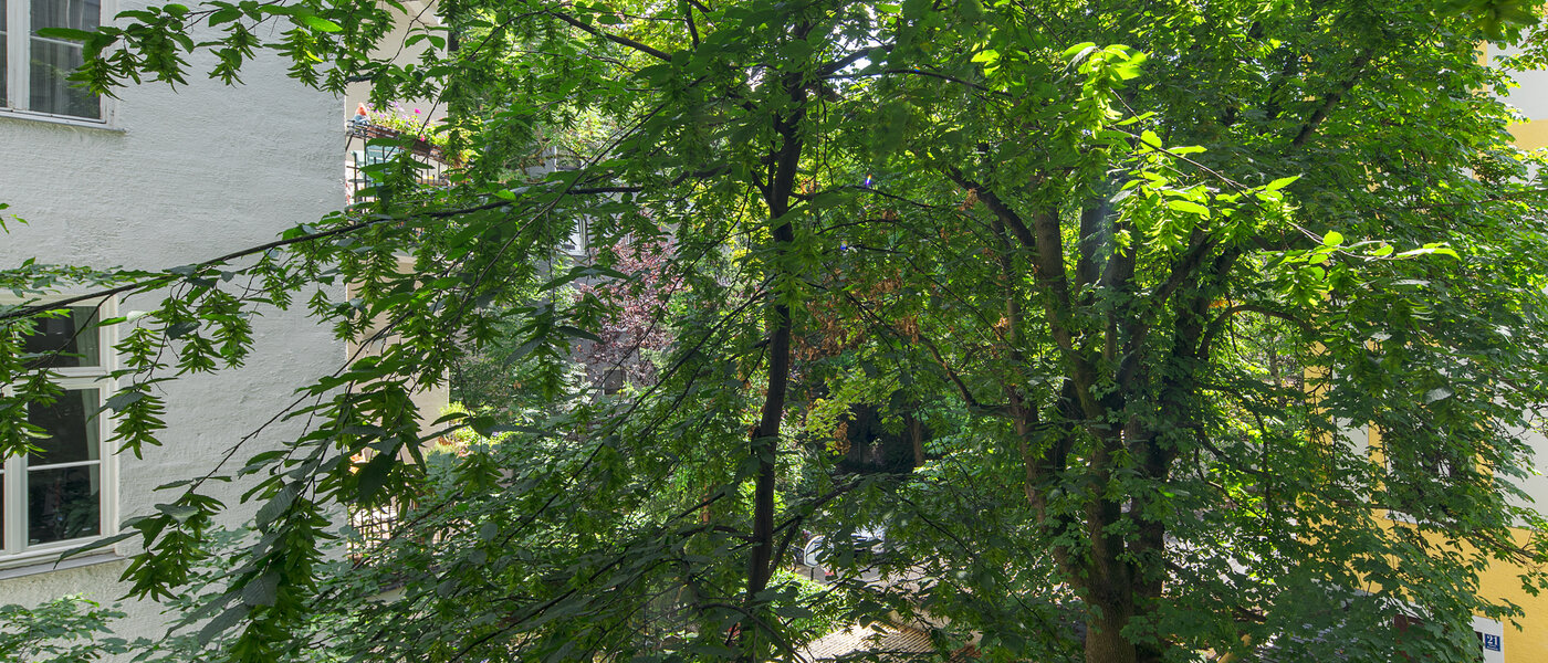 квартира München Schwabing-West (rund um den Hohenzollernplatz) 02 вид из окна 4507