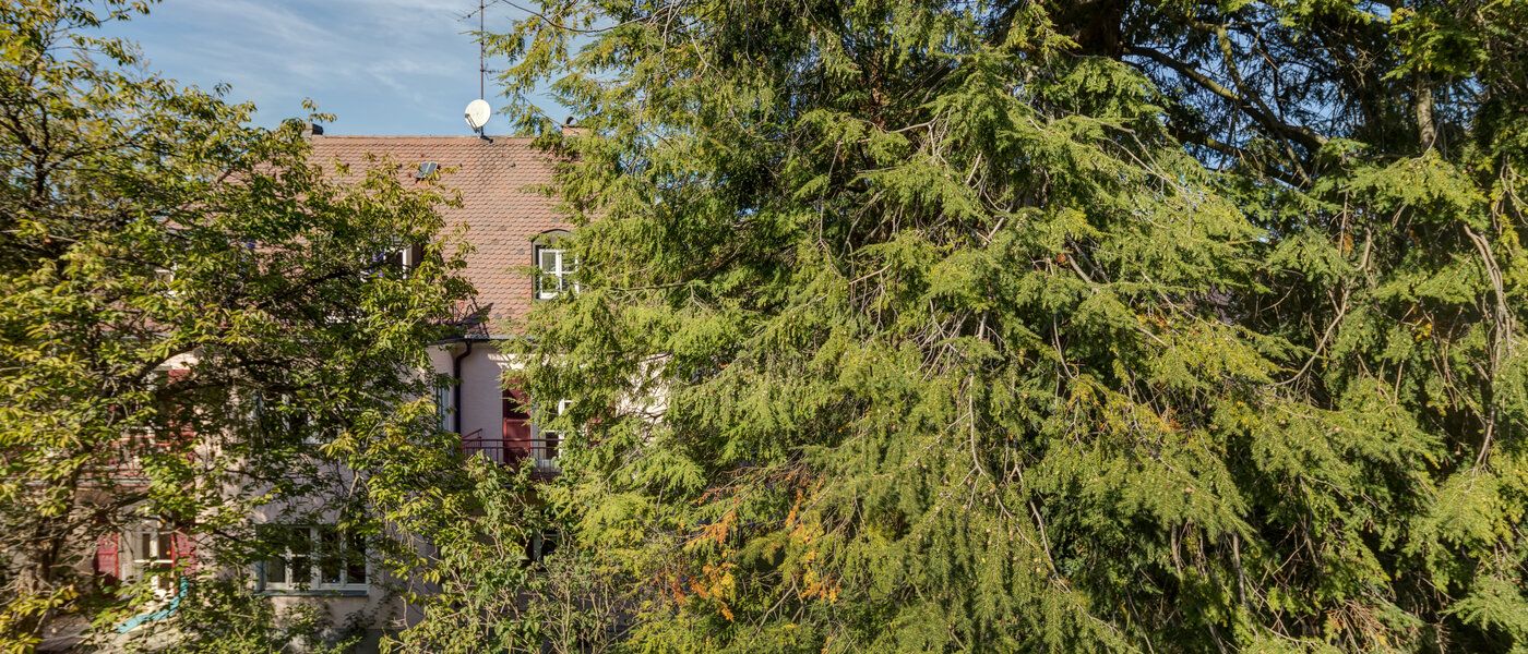 квартира München Nymphenburg-Gern 02 вид из окна 4670