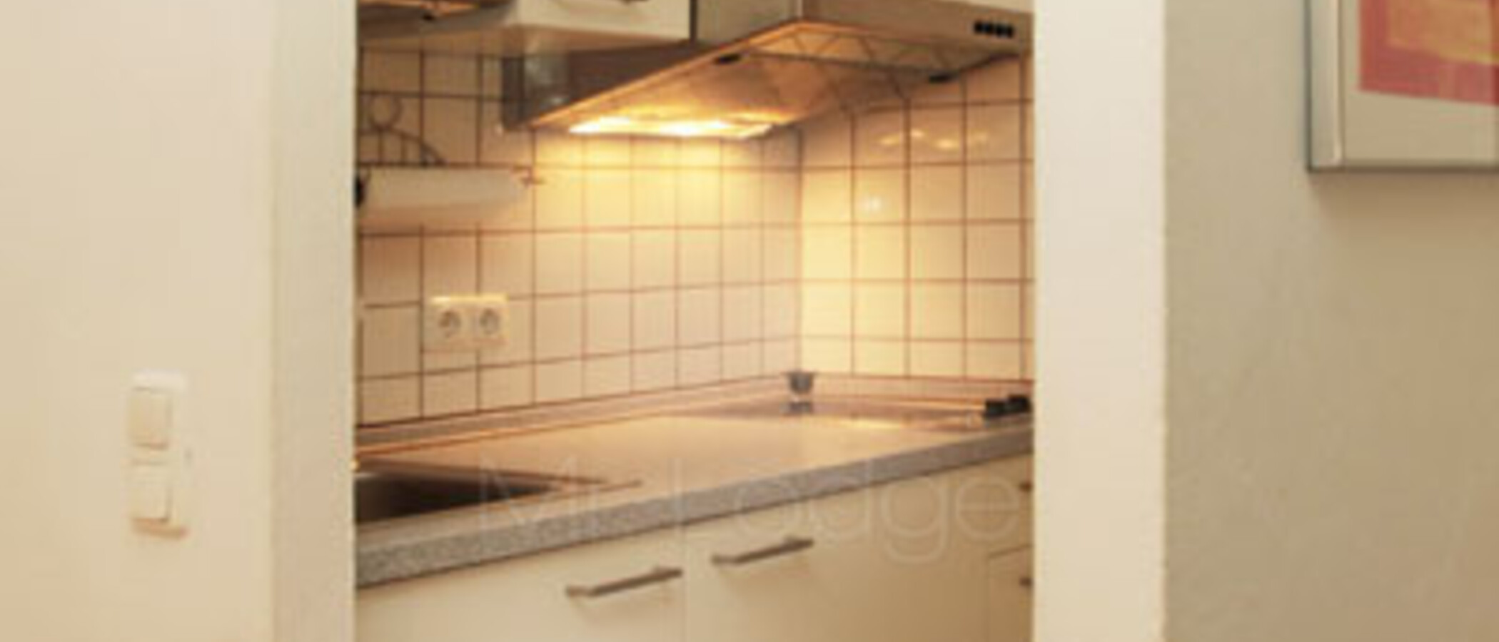 квартира München Au-Haidhausen 01 кухня 4732