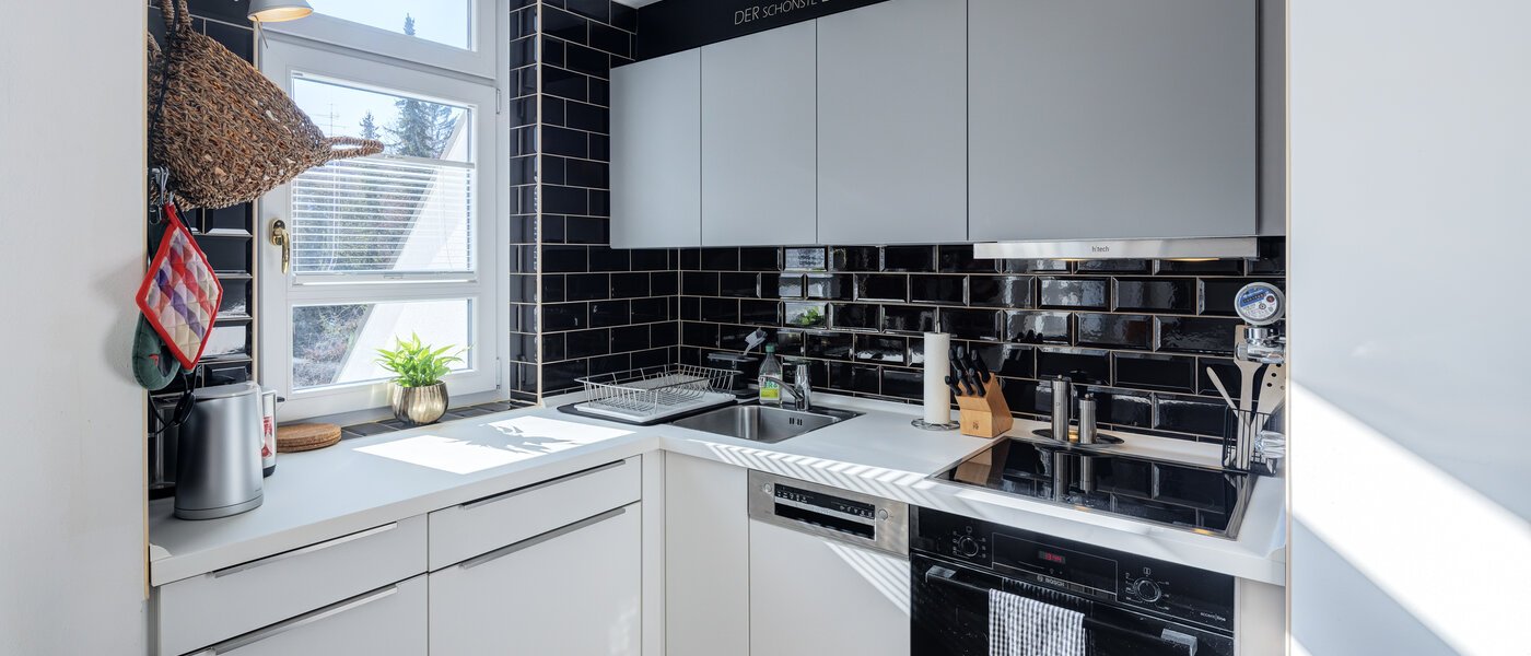 квартира München Schwabing-West (rund um den Bonner Platz) 01 кухня 4836