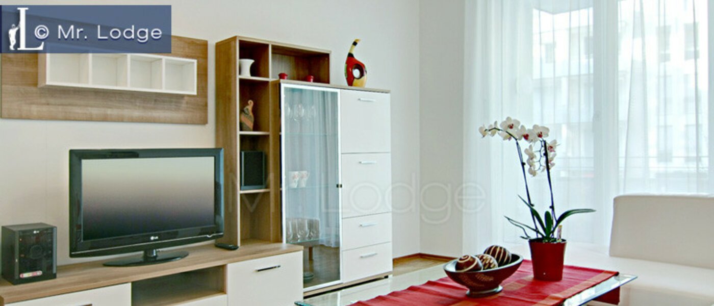 квартира München Maxvorstadt - Westen 02 гостиная 4883