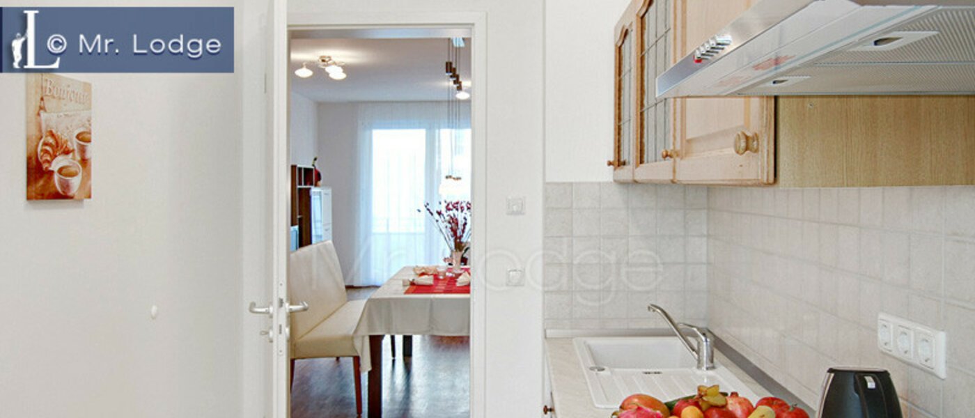 квартира München Maxvorstadt - Westen 02 кухня 4883