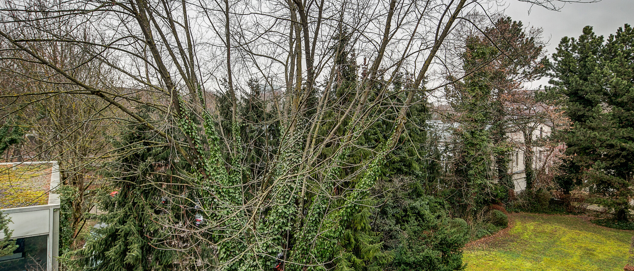 квартира München Schwabing-Nord (zw. Leopoldstraße & Englischen Garten) 03 вид из окна 4892