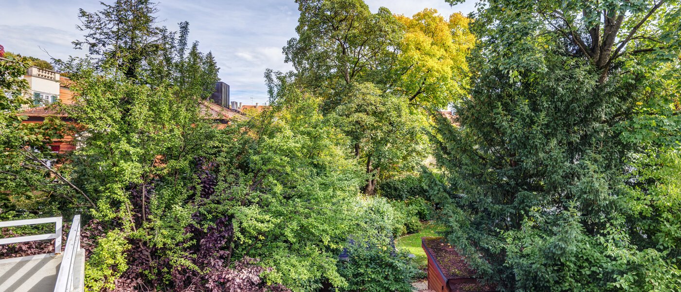 квартира München Nymphenburg 01 вид из окна 4942