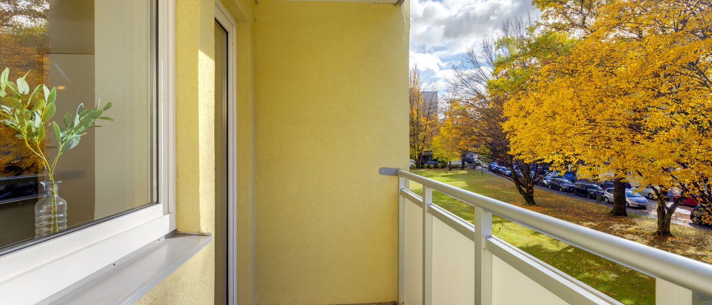 квартира München Bogenhausen 01 балкон 4956