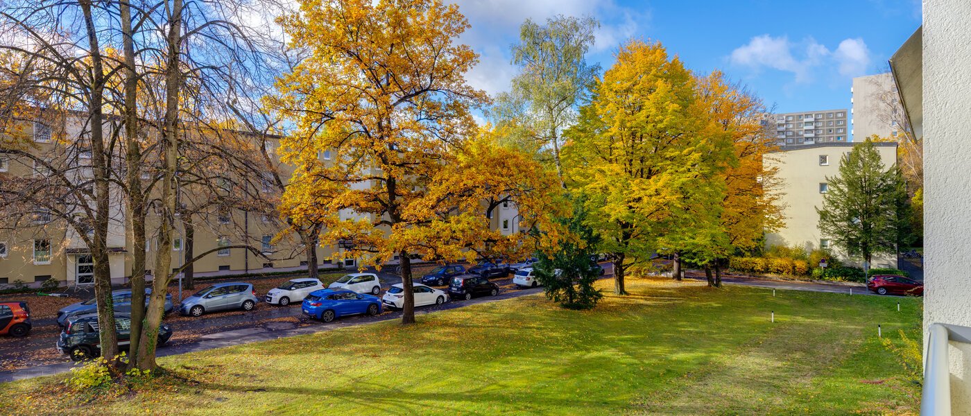 квартира München Bogenhausen 01 вид из окна 4956