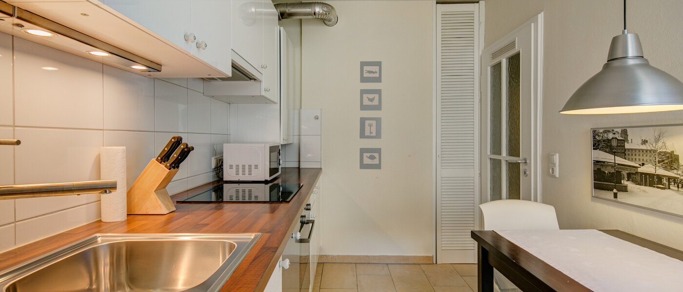 квартира München Isarvorstadt 04 кухня 5105