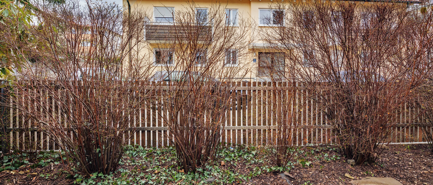 квартира München Berg am Laim 01 вид из окна 5126