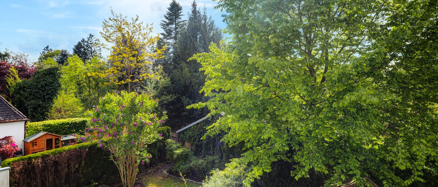 таунхаус München Westpark 01 вид из окна 5296