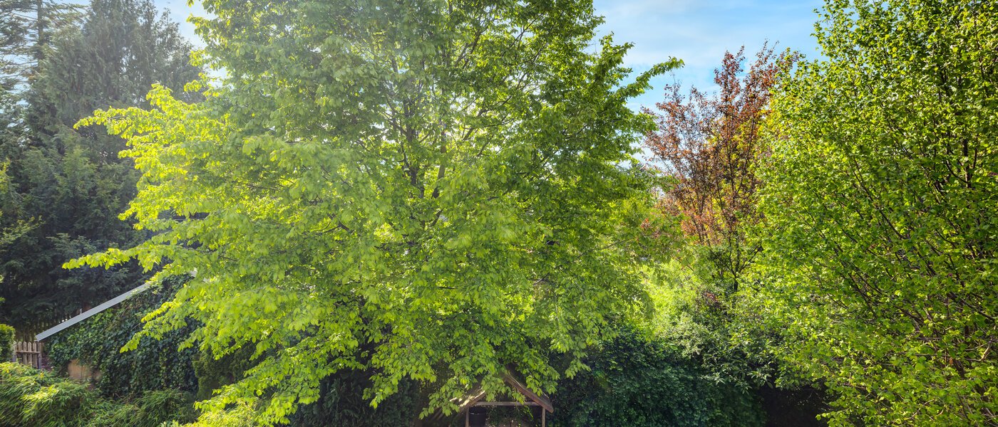 таунхаус München Westpark 02 вид из окна 5296