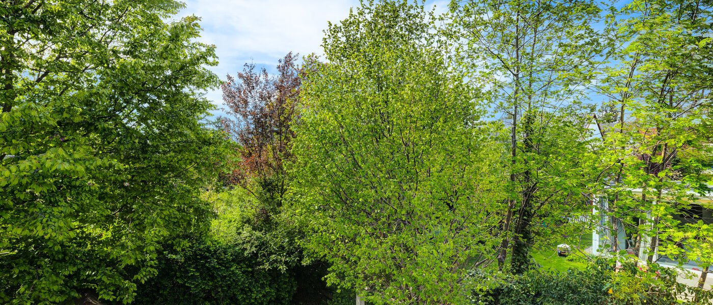 таунхаус München Westpark 03 вид из окна 5296