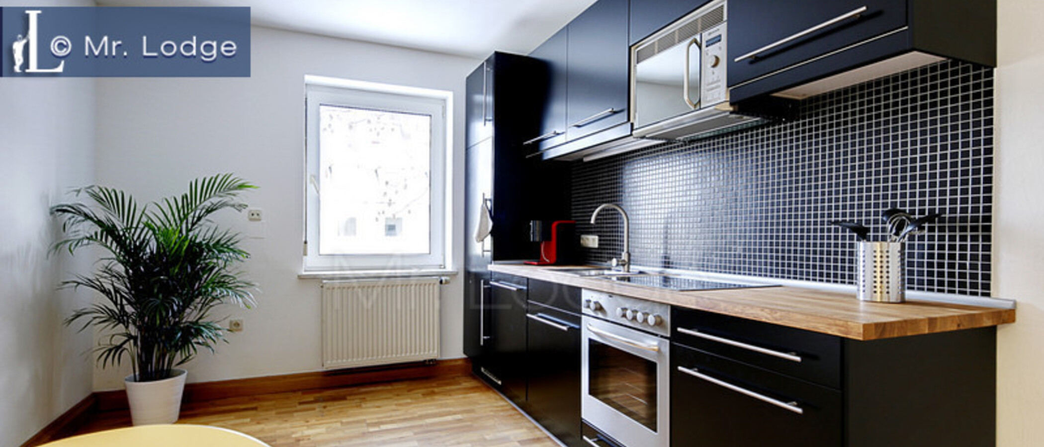 квартира München Milbertshofen 01 кухня 5352