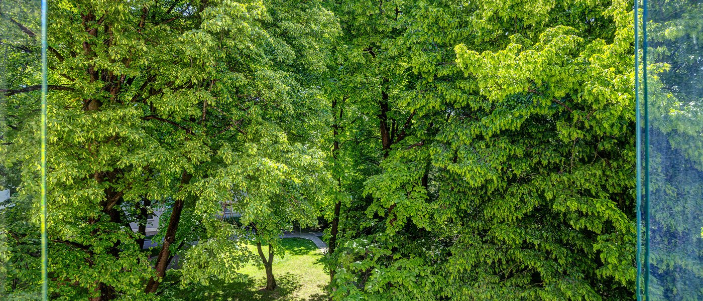 квартира München Fürstenried 02 вид из окна 5356