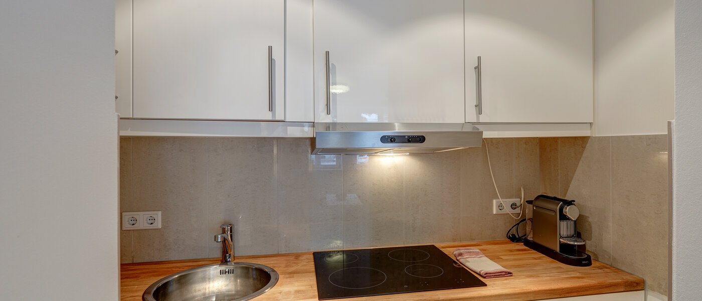 квартира München Haidhausen 01 кухня 5712