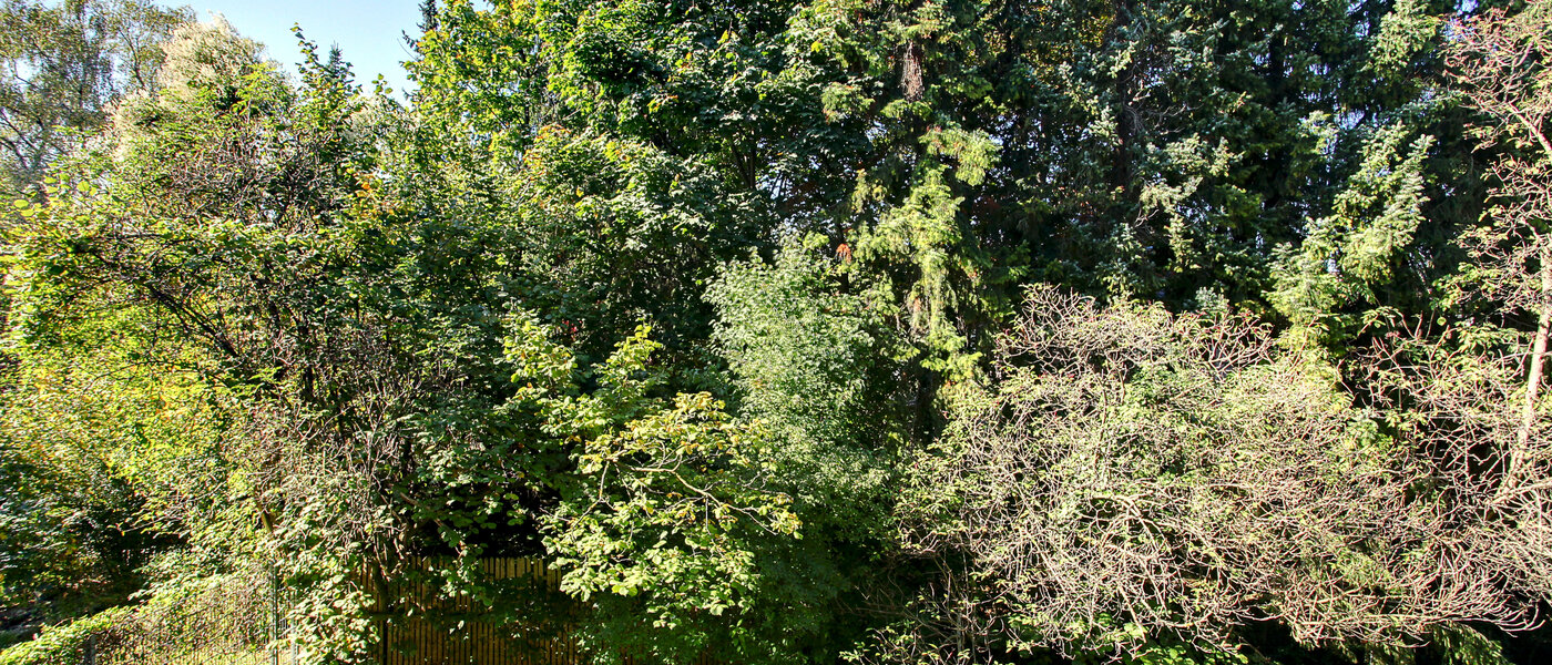 квартира München Schwabing 01 вид из окна 5794