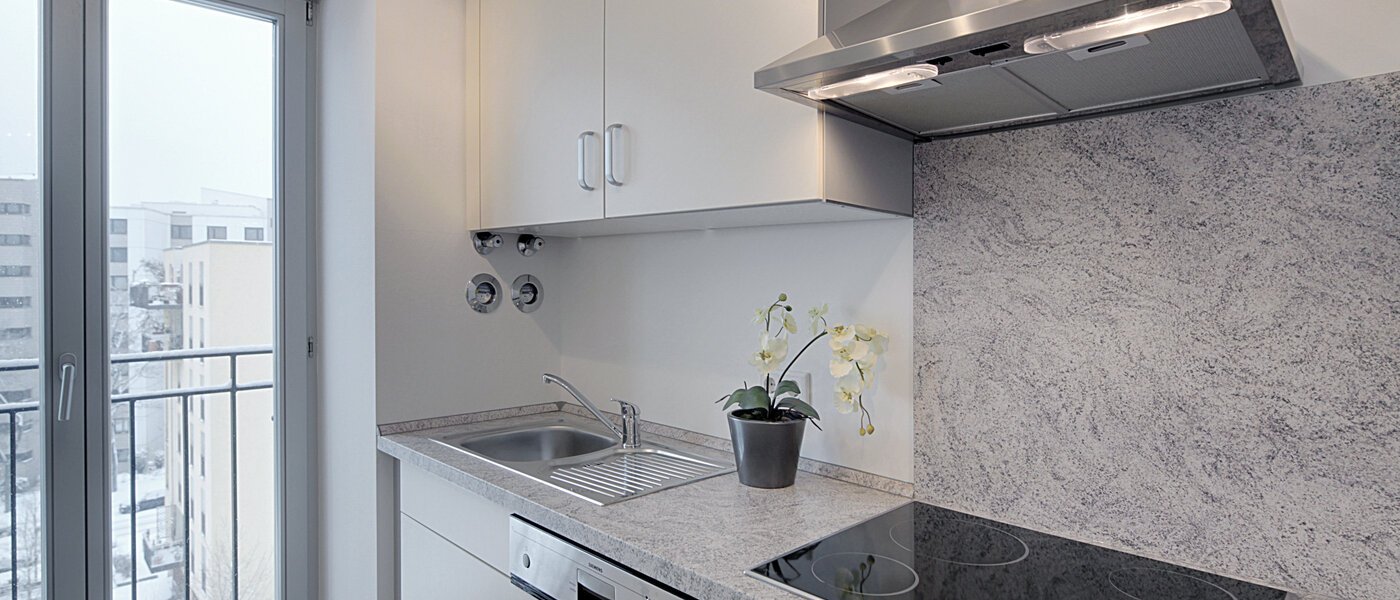 квартира München Haidhausen 01 кухня 5937