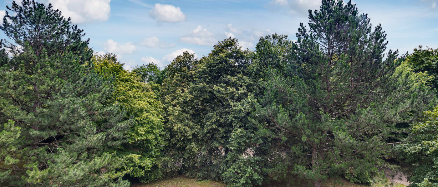 квартира München Moosach 01 вид из окна 5951