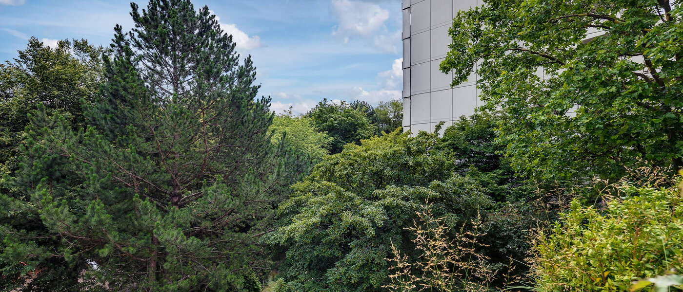 квартира München Moosach 03 вид из окна 5951