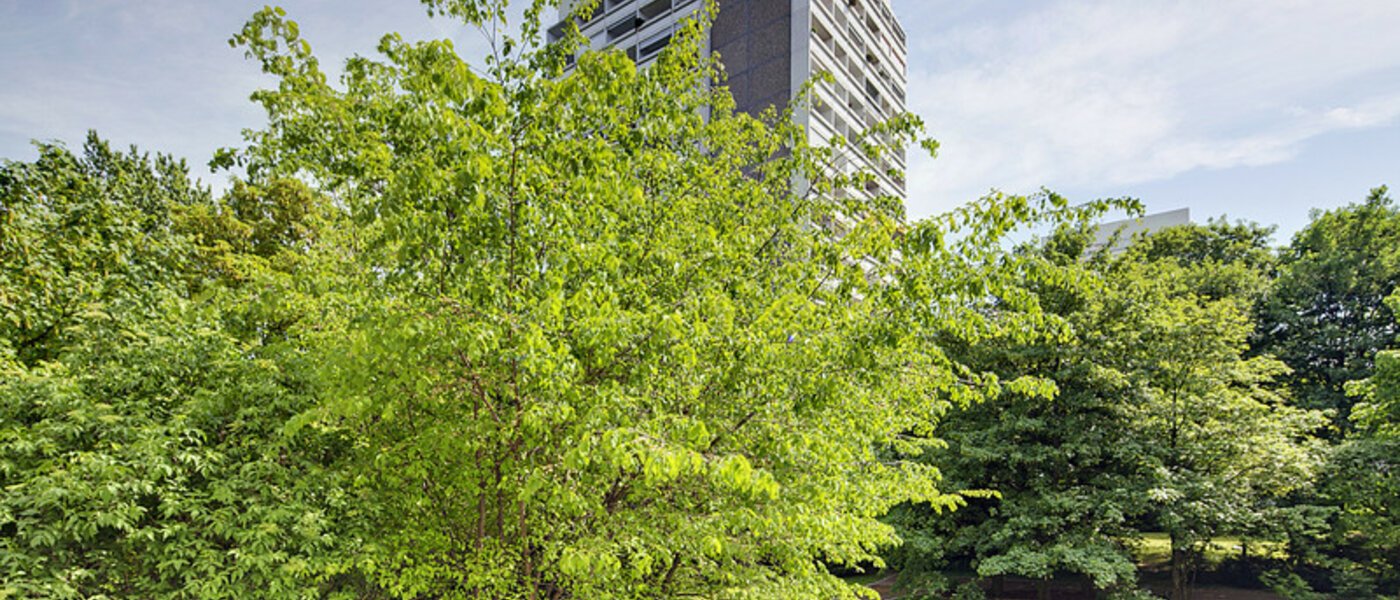 квартира München Arabellapark 01 вид из окна 6126