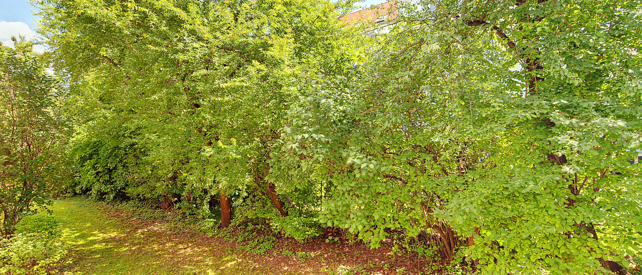 квартира München Schwabing - Alte Heide 01 вид из окна 6261