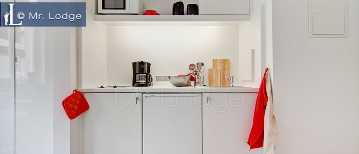 квартира München Lehel 01 кухня 6432