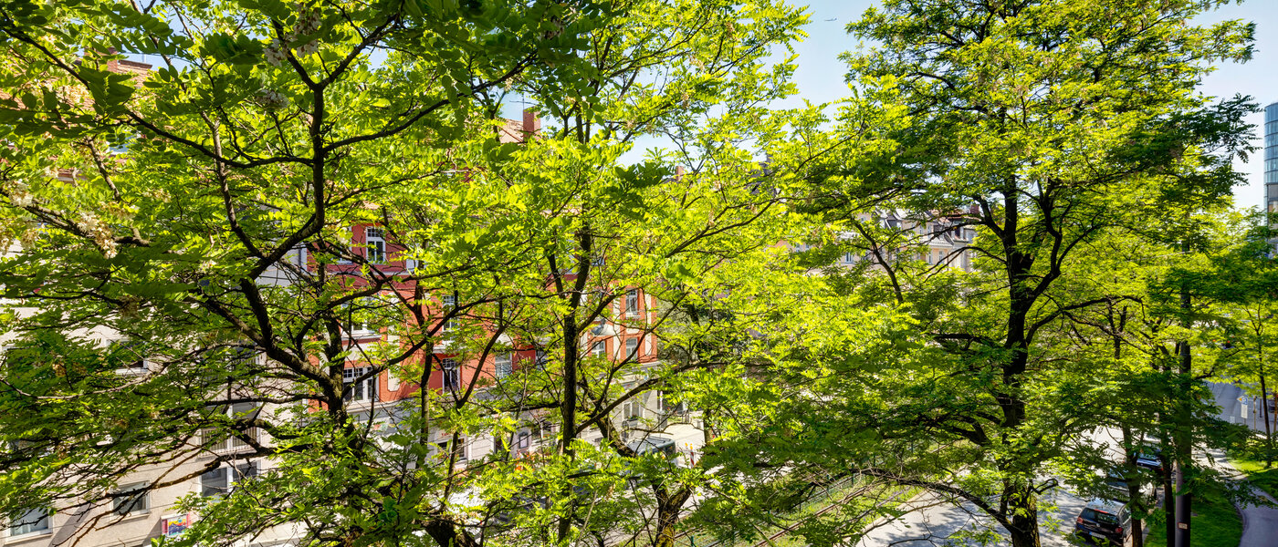 квартира München Neuhausen 01 вид из окна 6444