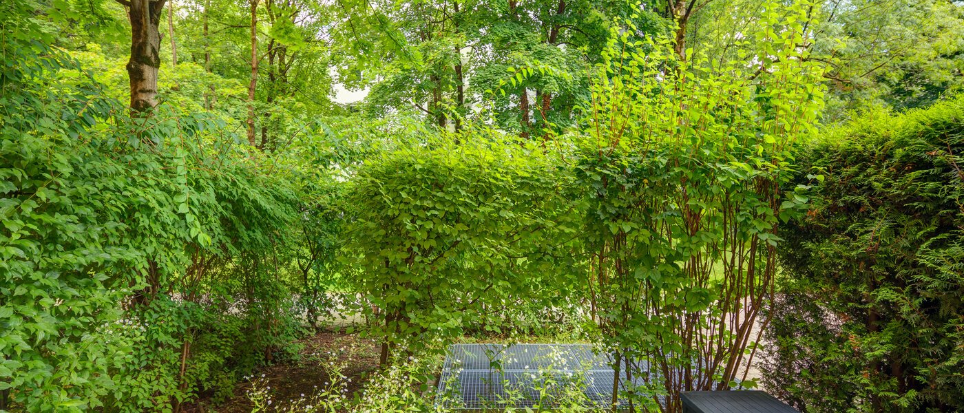 квартира München Haidhausen 01 вид из окна 6448