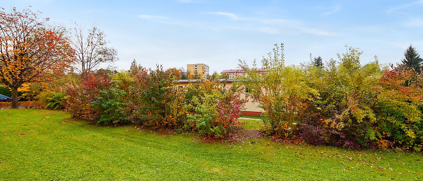 квартира Planegg 01 вид из окна 6451