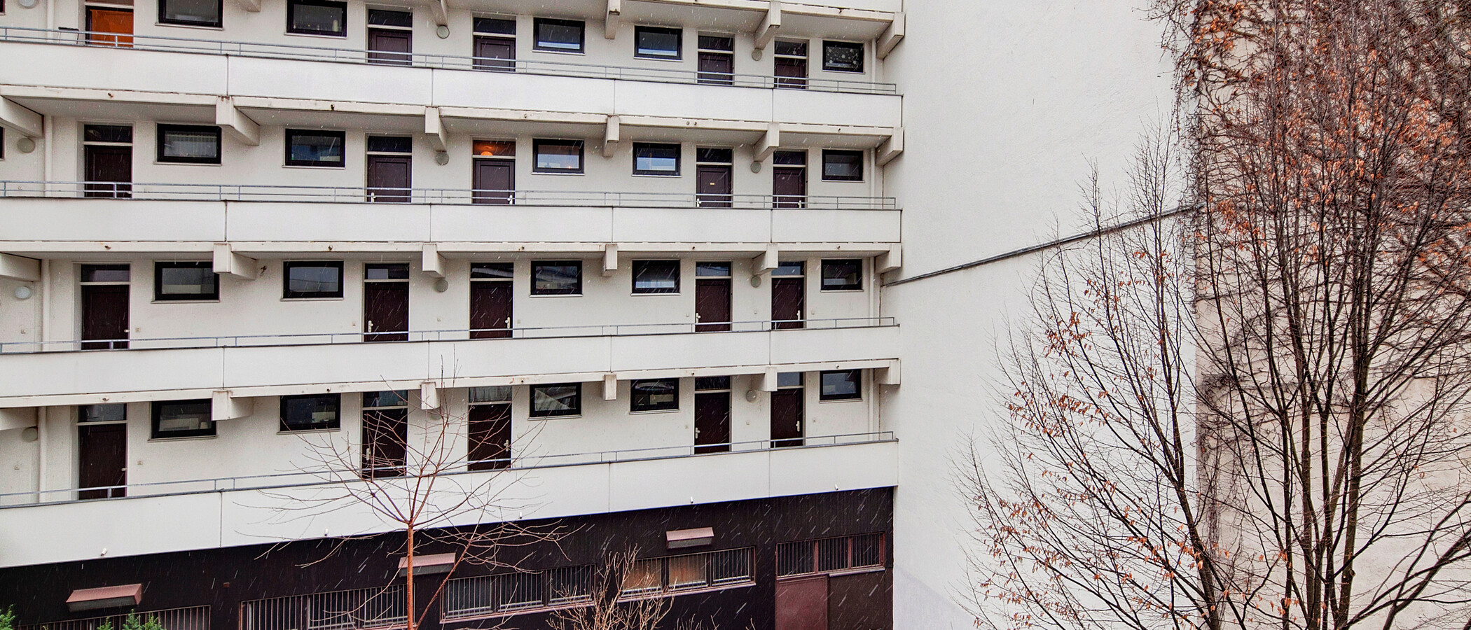 квартира München Schwabing 01 вид из окна 6560