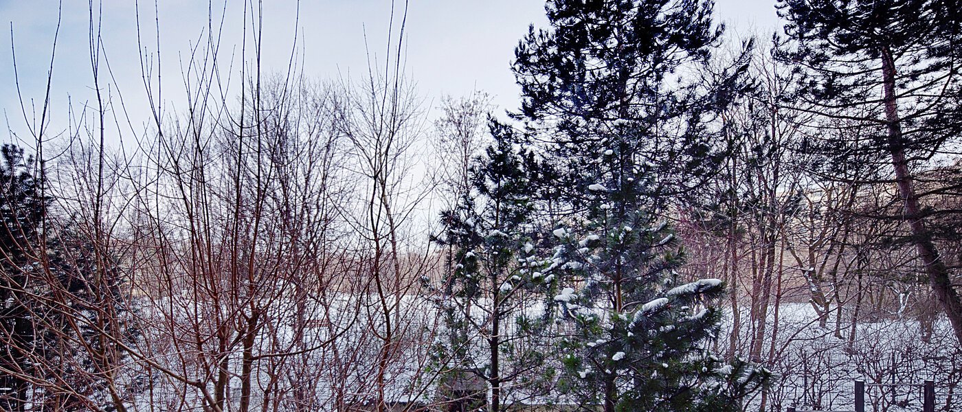 квартира München Haidhausen 02 вид из окна 6637