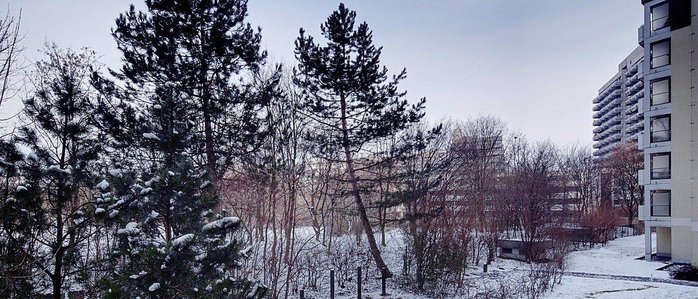 квартира München Haidhausen 03 вид из окна 6637