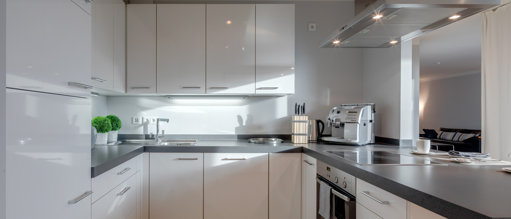квартира München Maxvorstadt 01 кухня 6679