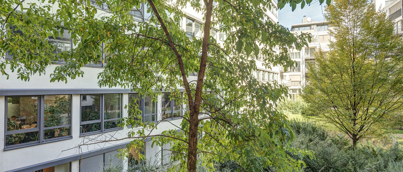 квартира München Maxvorstadt 01 вид из окна 6689