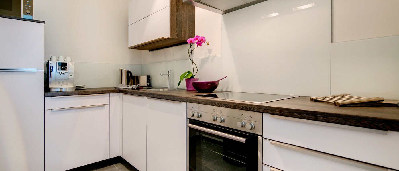 квартира München Maxvorstadt 01 кухня 7036