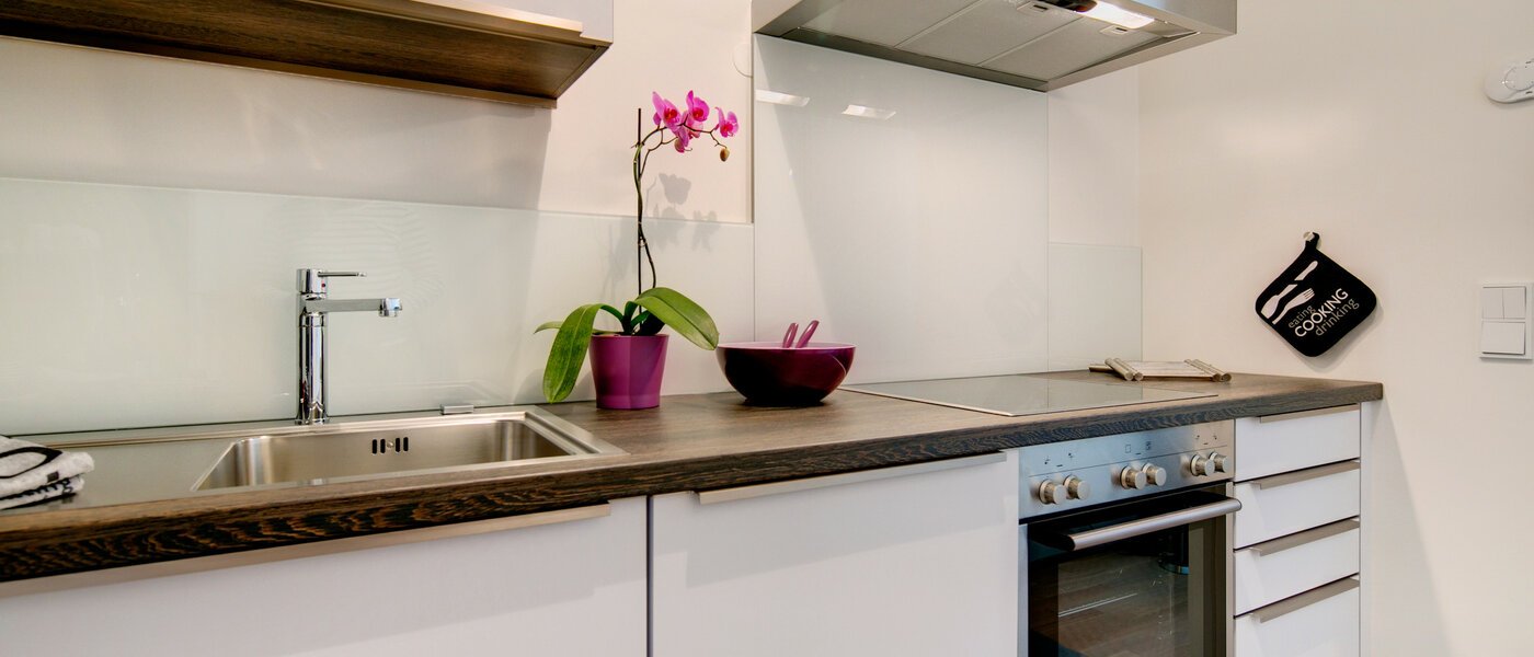 квартира München Maxvorstadt 04 кухня 7036