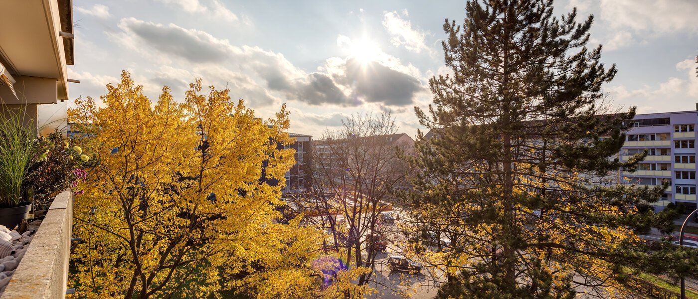 квартира München Schwabing 02 вид из окна 7050