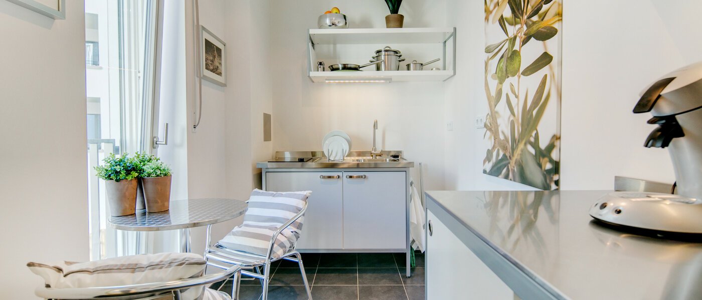 квартира München Maxvorstadt 01 кухня 7104