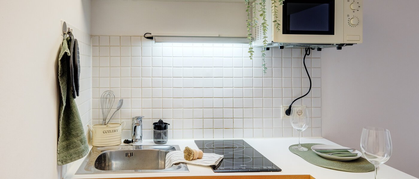 квартира München Maxvorstadt 01 кухня 7109