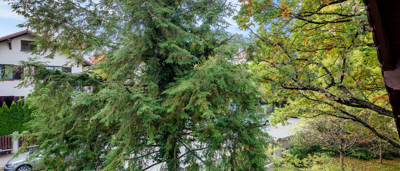 квартира München Pasing 03 вид из окна 7263