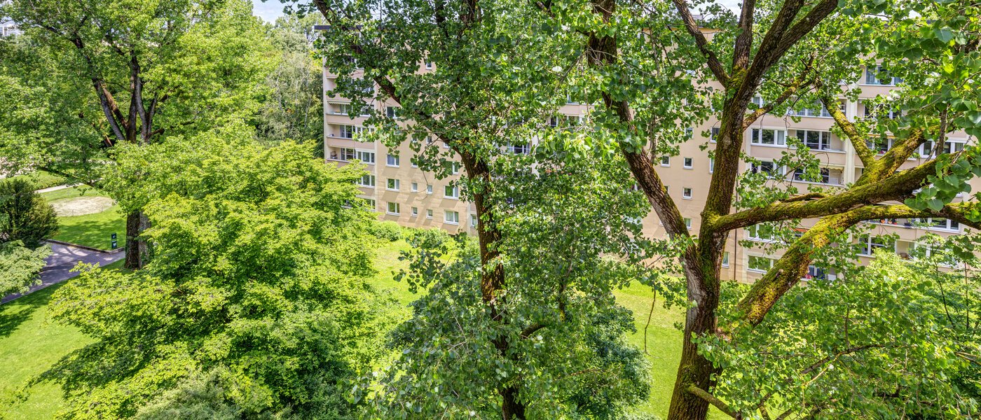 квартира München Bogenhausen 03 вид из окна 7308